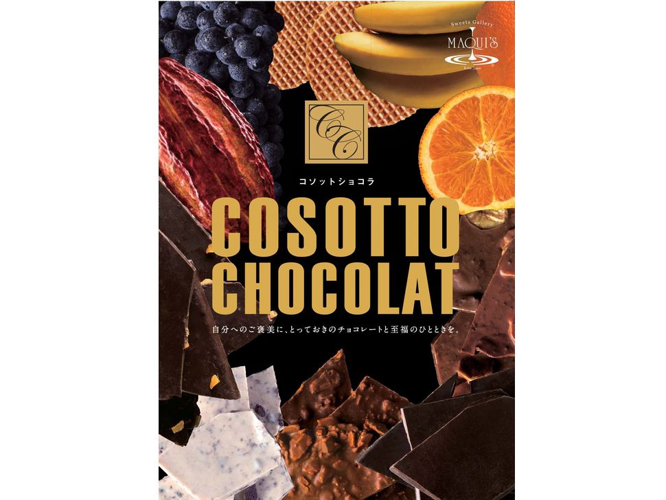 株式会社共同開発システム | 1995 兵庫県 マキィズ コソットショコラ