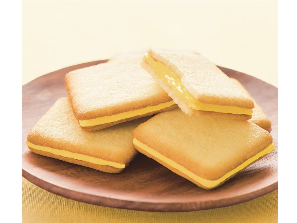 株式会社共同開発システム | 4138 苫小牧市 三星 パンプキン