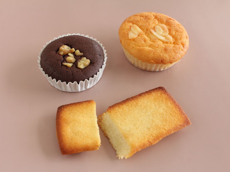 50年前の標本】アンドレゲウスフタオ（1ペア、マダガスカル産）